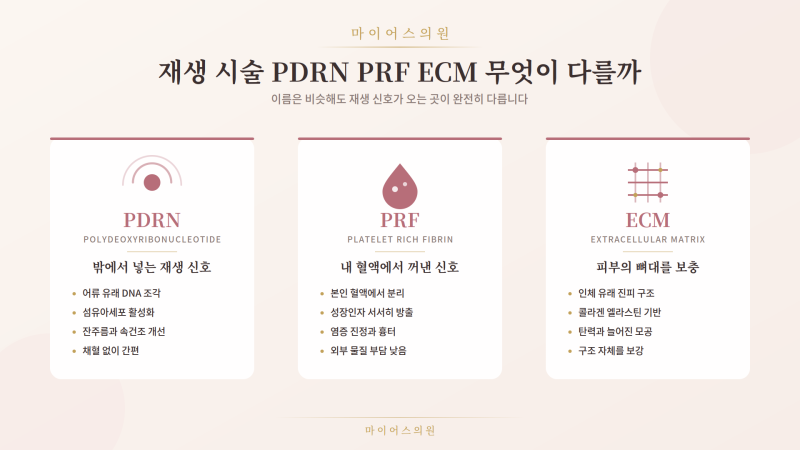 재생 시술 PDRN PRF ECM 무엇이 다를까 피부 재생 주사 차이 총정리