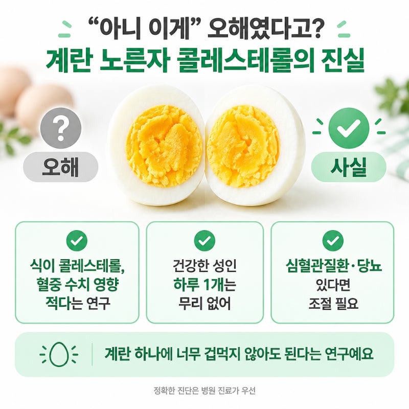 "아니 이게" 오해였다고? 계란 노른자 콜레스테롤의 진실