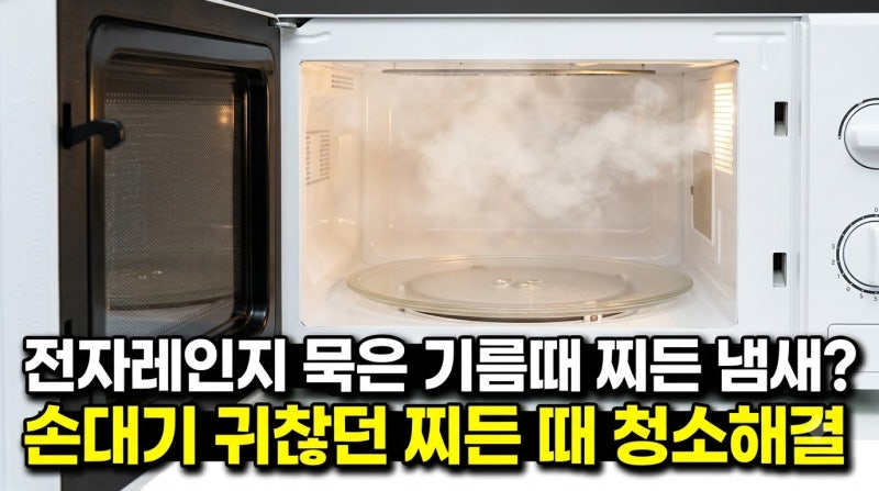 "이거 모르고 살았다니" 전자레인지 묵은 냄새 찌든 기름때 30초 해결법