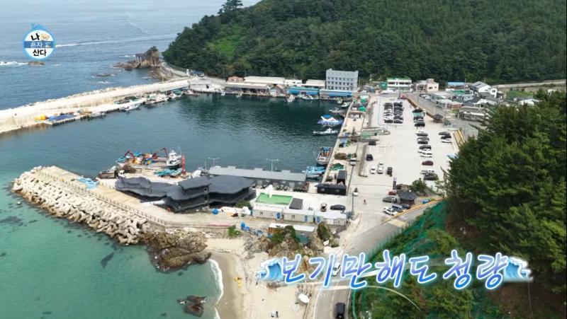 「私は一人で暮らす」キム・デホのキャンピングカー旅行地、江原道三陟スポット | 龍化港シュノーケリング