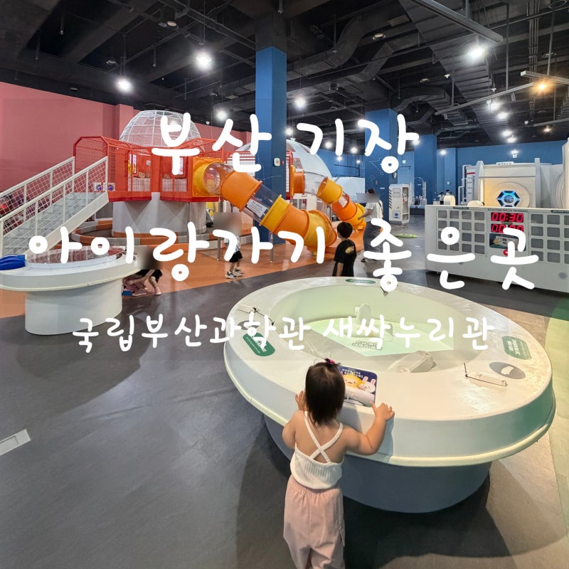 부산 기장 국립부산과학관 '새싹누리관' 대형 키즈 놀이터 유아부터 미취학까지 아이들 천국....