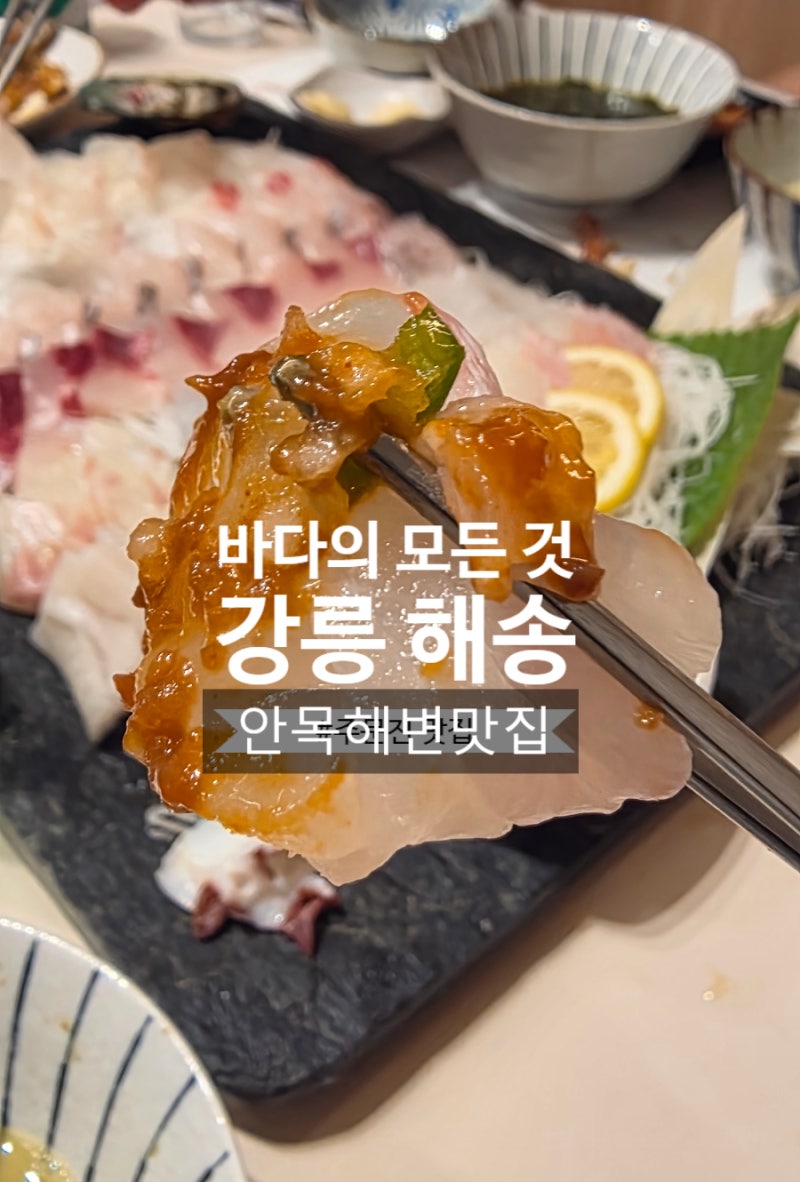 강릉 안목해변 맛집 | 바다의 모든 것을 맛볼 수 있는 '해송횟집'