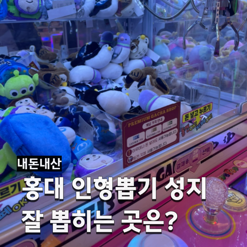 홍대입구역 인형뽑기방 미니돌 솔직후기ㅣ홍대 인형뽑기 성지 정리