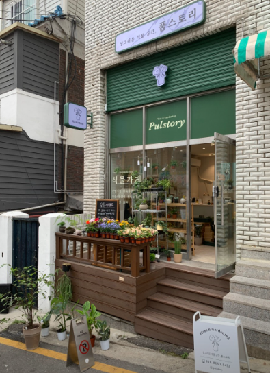 수원 출장분갈이 식물가게 풀스토리, 소중한 식물의 이야기를 이어갑니다