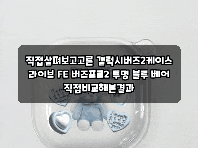 직접살펴보고고른 갤럭시버즈2케이스 라이브 FE 버즈프로2 투명 블루 베어 직접비교해본결과