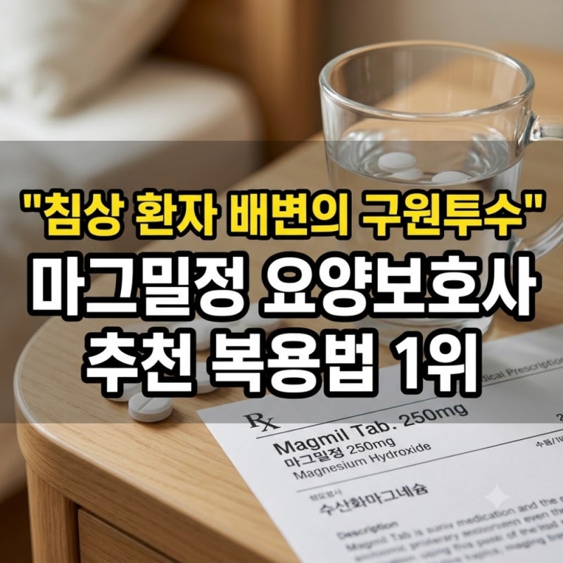 "침상 환자 배변의 구원투수" 마그밀정 요양보호사 추천 복용법 1위