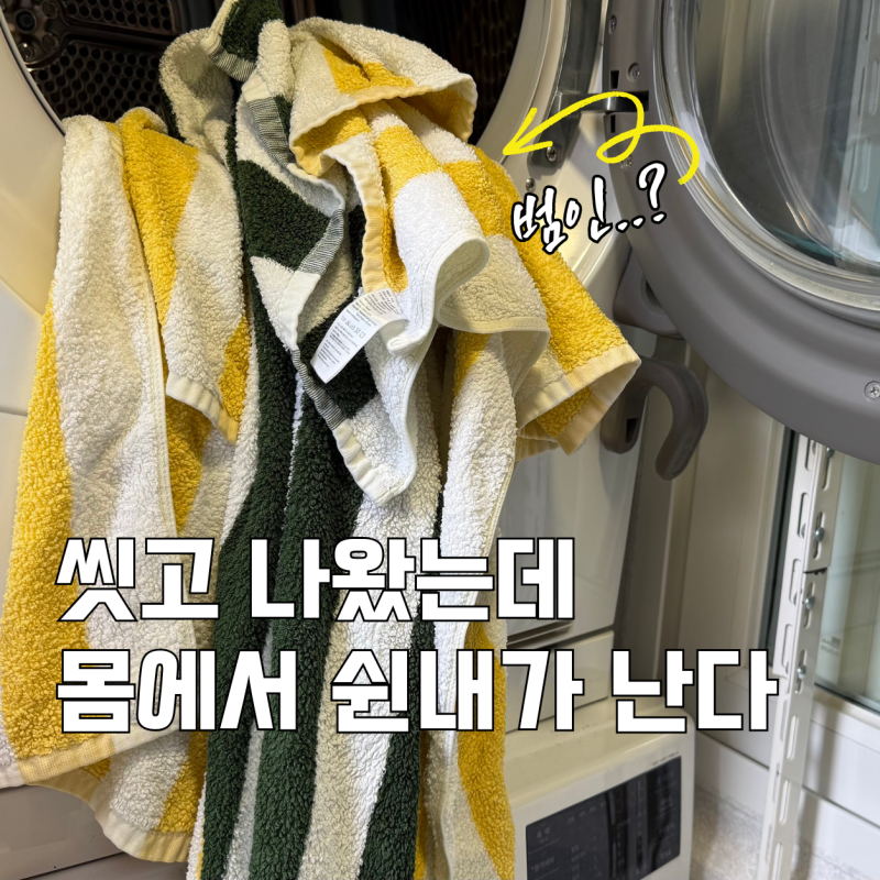 수건 냄새 제거방법, 빨아도 쉰내 나는 원인과 세탁법