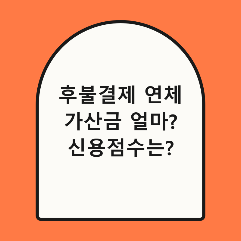 후불결제 연체하면 신용불량자 될까? 2030 BNPL 리스크