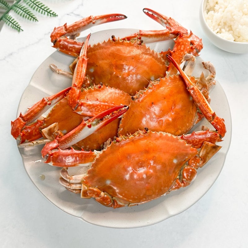 꽃게찜 하는 법 생물 꽃게 손질법 찌는 시간