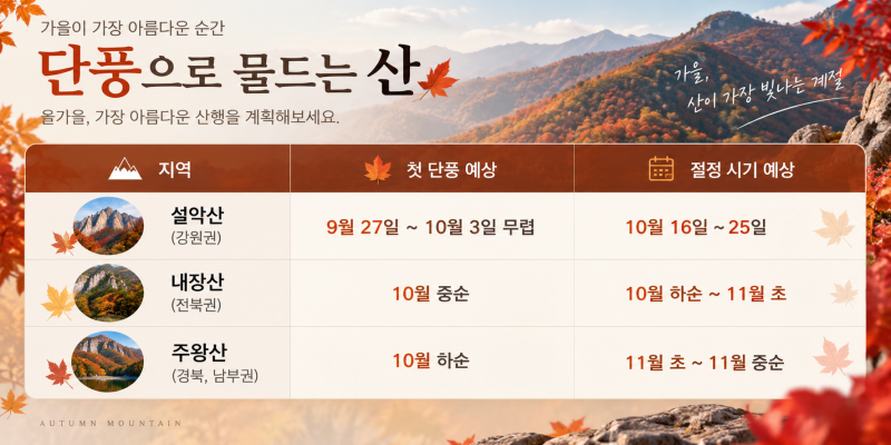 가을 단풍 여행 코스 추천｜설악산·내장산·주왕산 1박2일 일정표 총정리