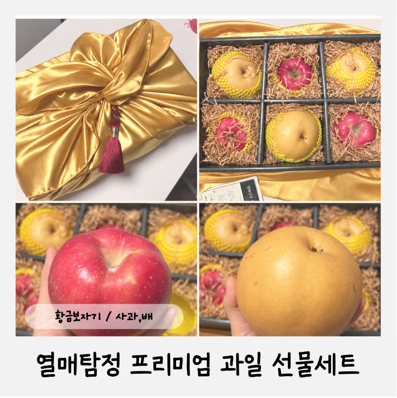 열매탐정 프리미엄 과일 선물세트, 황금보자기 명절 선물 추천