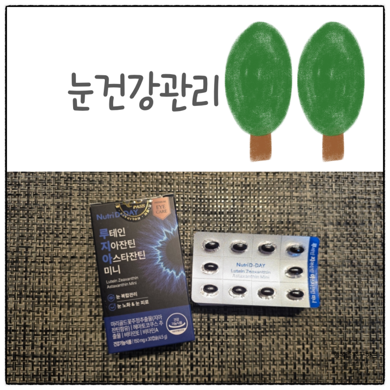 뉴트리디데이 루테인으로 눈관리해보세요