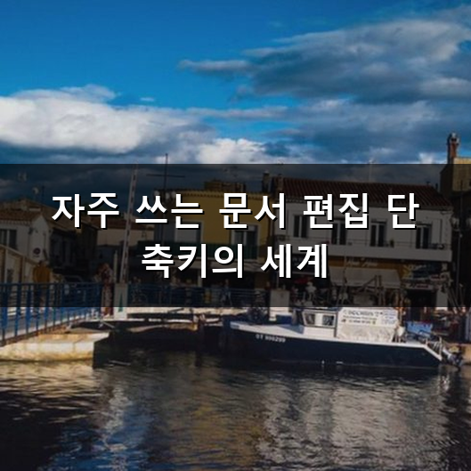 문서 작업할 때 한글 단축키 왜 자꾸 헷갈릴까요?