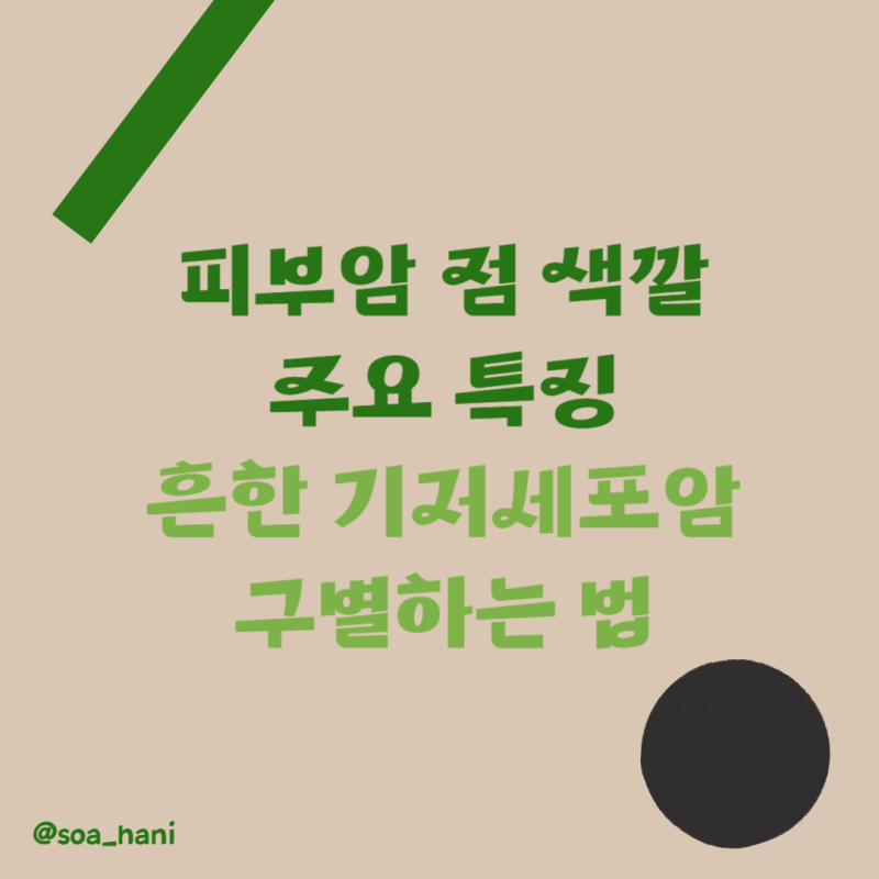 피부암점색깔 주요 특징 흔한 기저세포암 구별하는 법