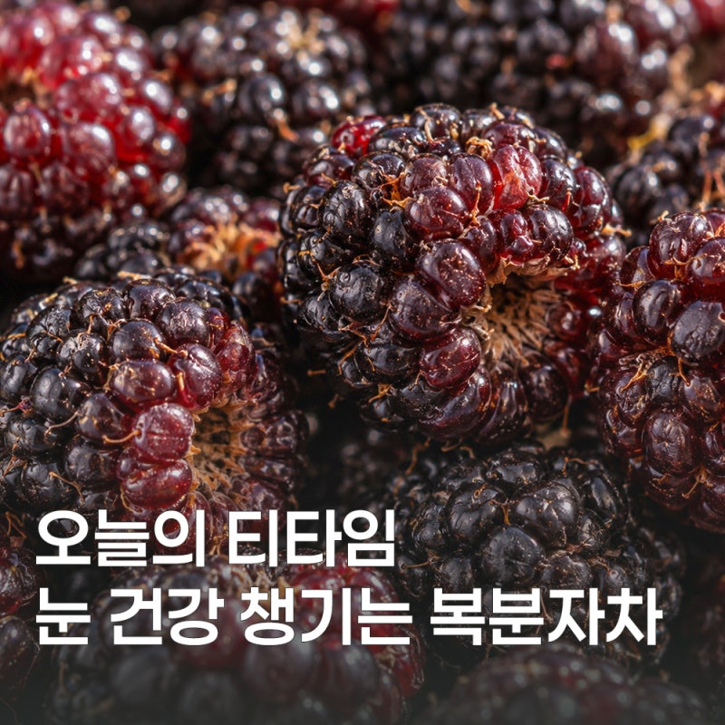 새콤달콤 매력적인 복분자차 효능과 끓이는 법