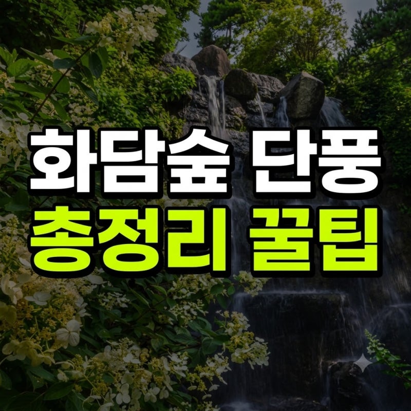 화담숲 단풍 예약 방법 모노레일 입장료 주차 명당 꿀팁 총정리