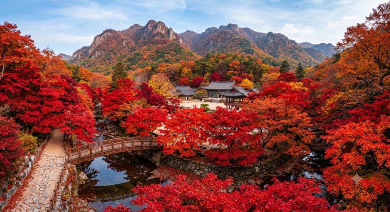 [가을 단풍 명소] 내장산