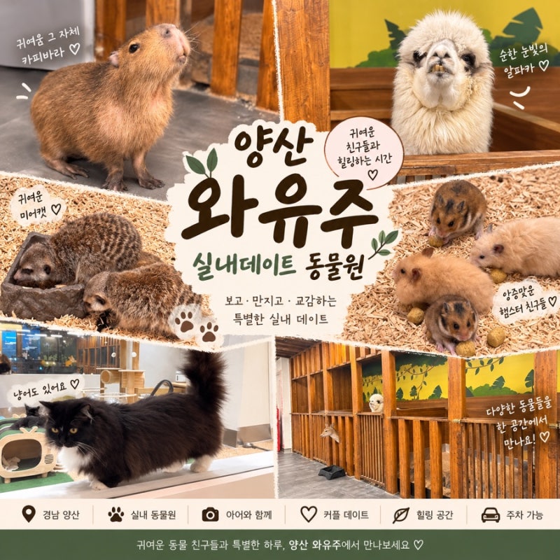 부산 양산 실내데이트 아이와 가볼만한곳 동물원 와우쥬 양산점