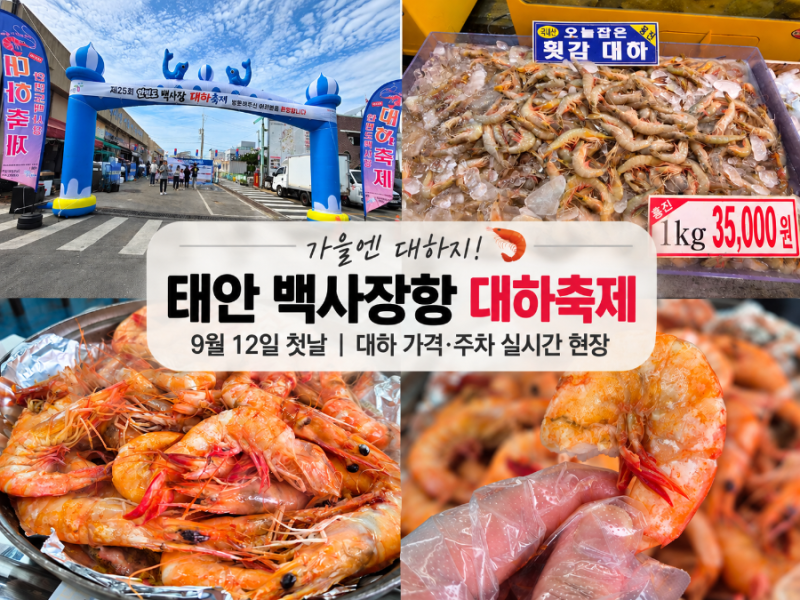 태안 백사장항 대하축제 9월 12일 첫날｜대하 가격·주차 실시간 현장