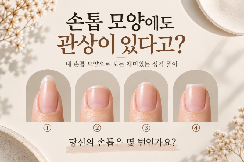 손톱 모양에도 관상이 있다고? 웨스턴돔네일 엄네일이 알려드리는 손톱 형태별 성격 풀이