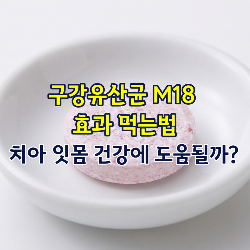 구강유산균 M18 효과 먹는법, 치아 잇몸 건강에 도움될까?