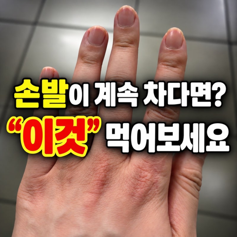 아르기닌 효능 부작용｜하루 권장량, 먹는 시간, 제품 추천까지 총정리