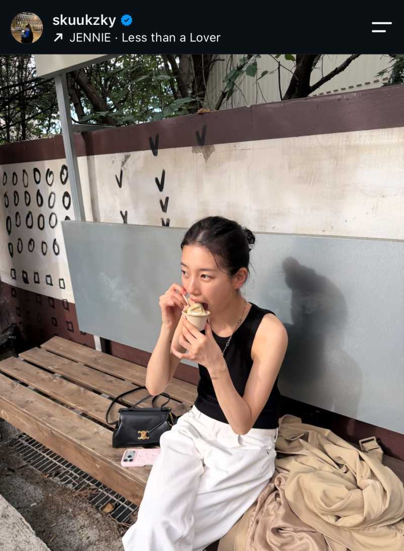 수지 데일리 명품 가방, 셀린느 스몰 플레어백 가격 수납력 체크
