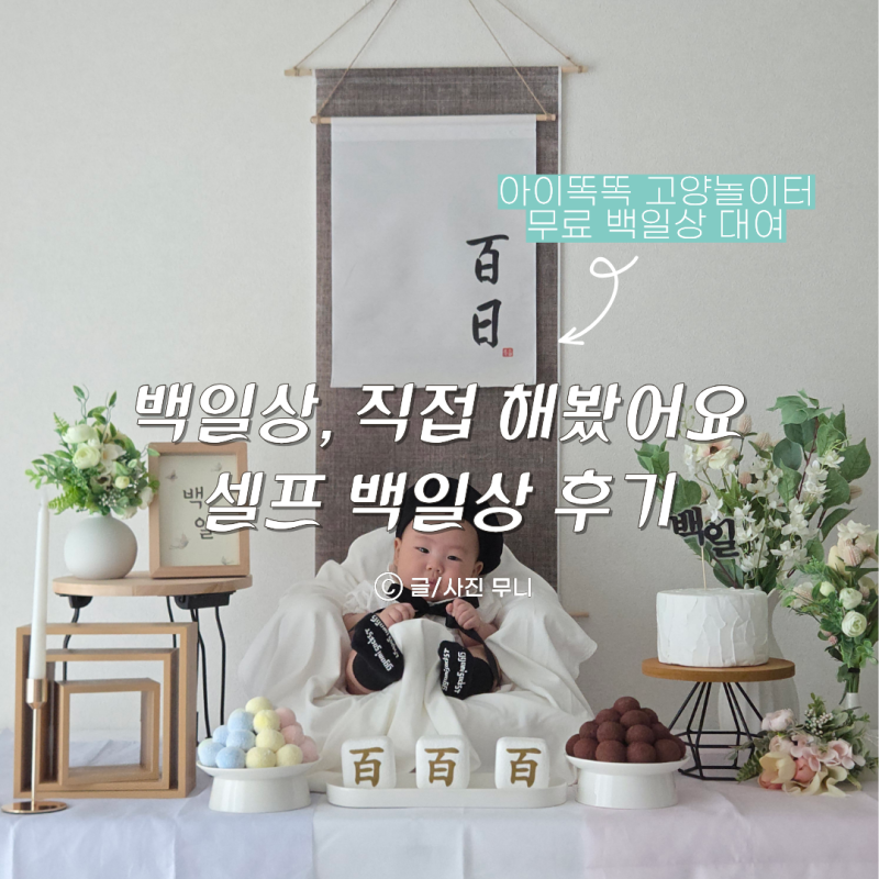 일산 셀프 백일상 준비부터 꿀팁까지! 아이똑똑 고양놀이터 백일상 대여 후기