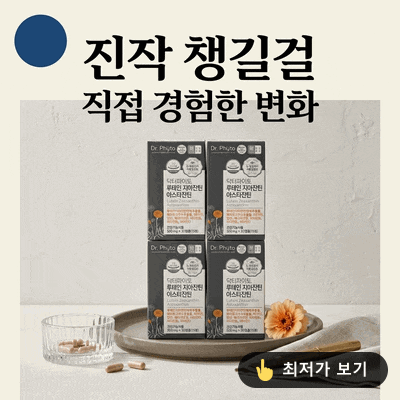 "진작 챙길걸" 4박스 닥터파이토 루테인 지아잔틴 | 솔직후기