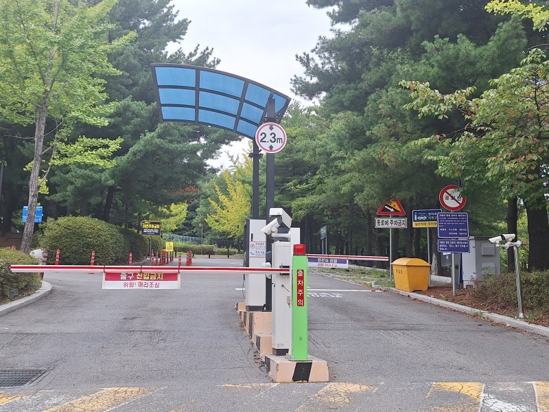 일산 밤리단길 주차 추천 공영주차장 무료주차장