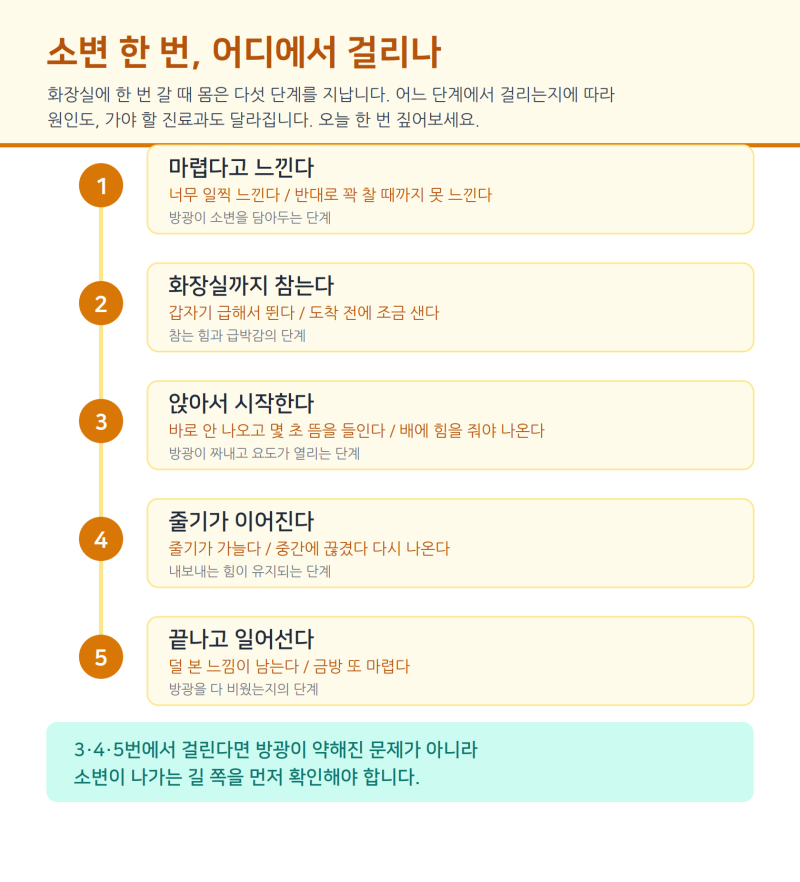 소변이 시원하게 안 나올 때, 60대 여성이 꼭 알아야만 하는 4가지 사실!