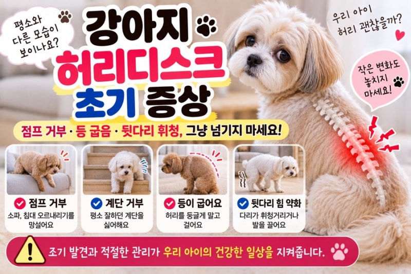 강아지 허리디스크 초기 증상 걷는 모습과 행동 변화 확인하세요