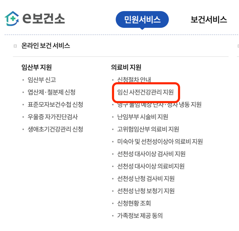 [국가지원] e보건소에서 산전검사 신청, 지원금 청구하기