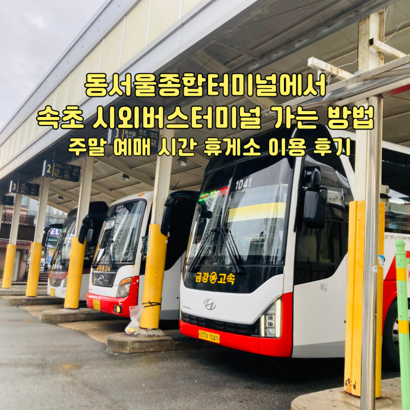 How to Get from Dongseoul Bus Terminal to Sokcho Intercity Bus Terminal: Weekend Booking, Times, Rest Stop Review