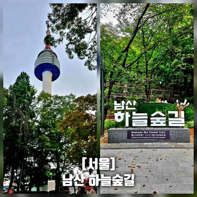 [서울 걷기 좋은 길 ] 소월정원에서 '남산 하늘숲길' 걸어 남산타워까지(주차/대중교통/코스)