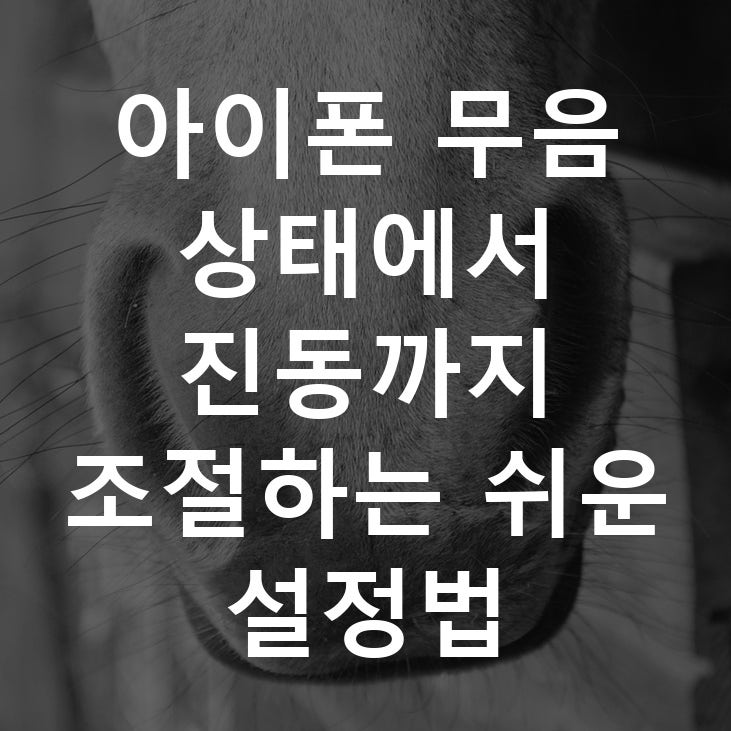 아이폰 무음 상태에서 진동까지 조절하는 쉬운 설정법