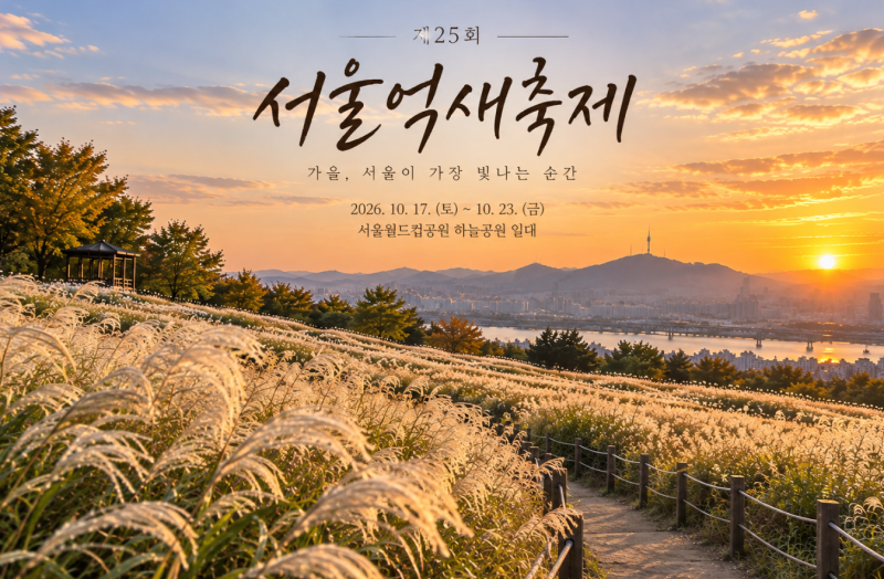 2026 서울억새축제 일정｜하늘공원 억새 명소·야간 라이트쇼까지