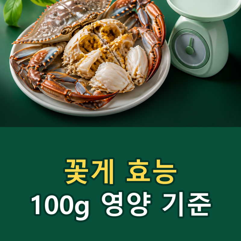 꽃게 효능, 100g 영양과 섭취 주의 핵심