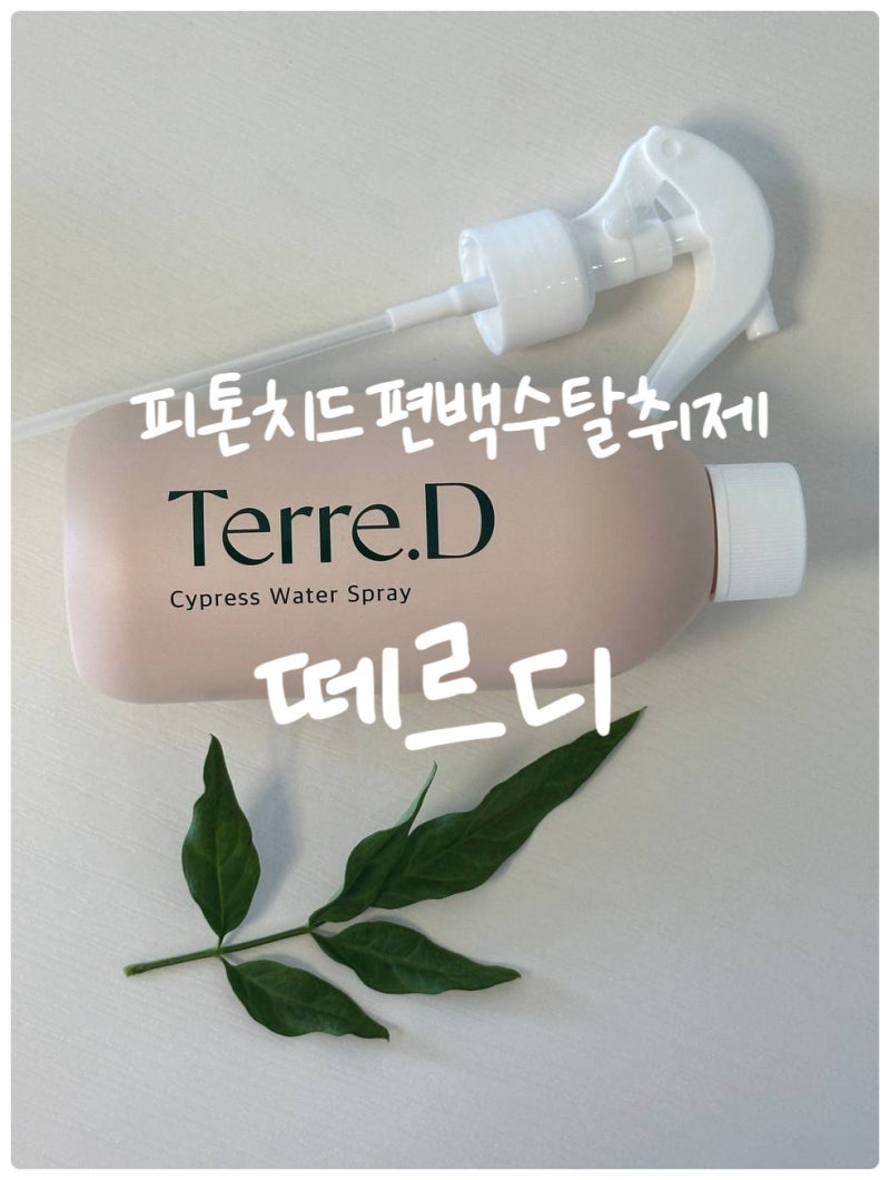 피톤치드편백수탈취제 떼르디 실내탈취제추천 편백수 효과 활용법 후기