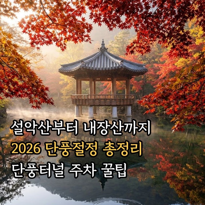 올해 내장산 단풍시기 및 절정 시기 총정리! 설악산단풍 비교와 가을단풍명소 여행 코스