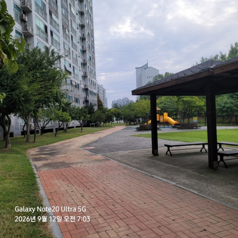 2026.09.12.토요일 맑음