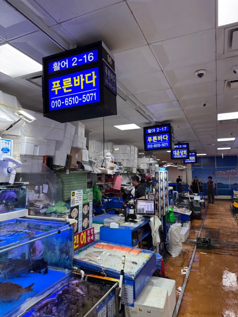 노량진 붉바리 돌돔 회 맛집｜푸른바다에서 고급어종 먹고 수산회관 초장집 후기