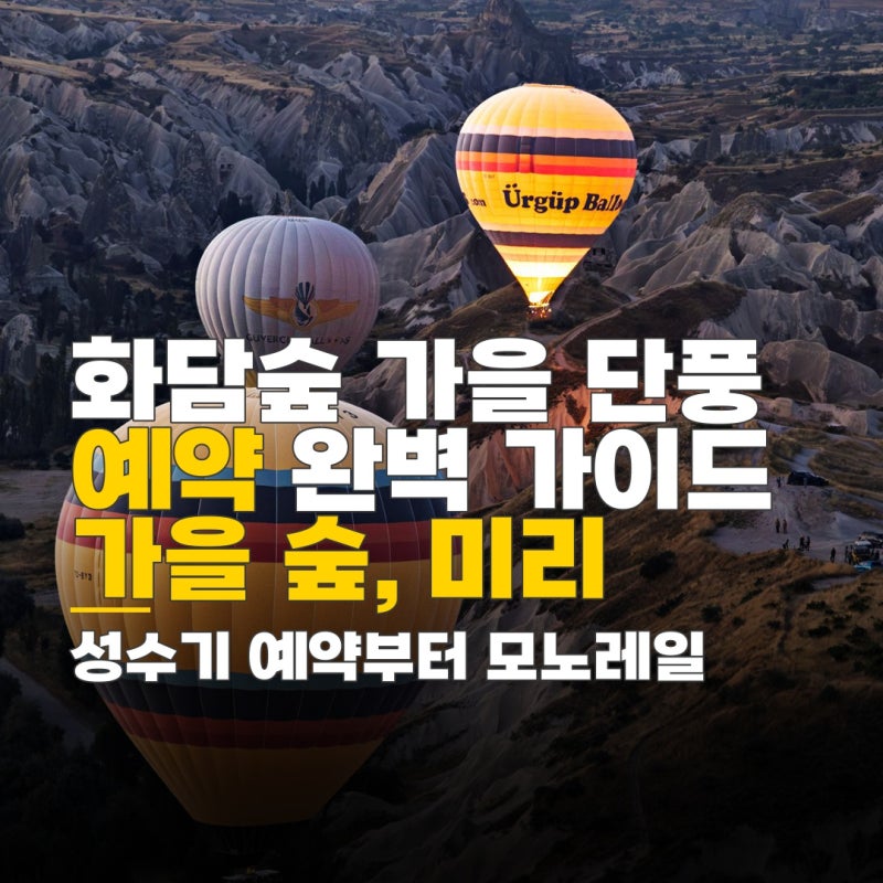 화담숲대중교통가는법, 화담숲 가을 예약 방법, 성수기 단풍 시즌 및 모노레일 이용 팁