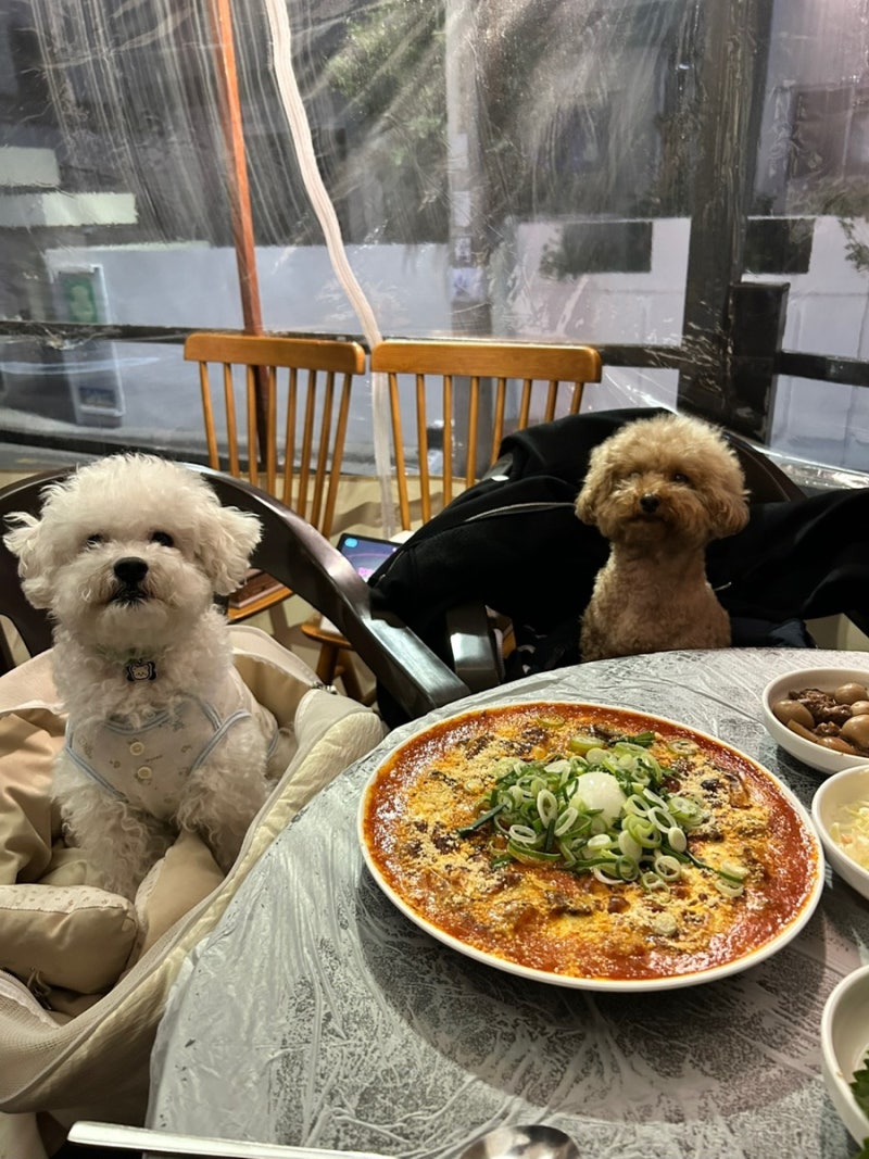 광안리술집 광안리애견동반술집 스지고집