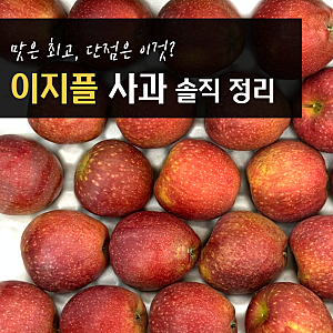 이지플사과 특징 영양성분 맛 품종 단점?