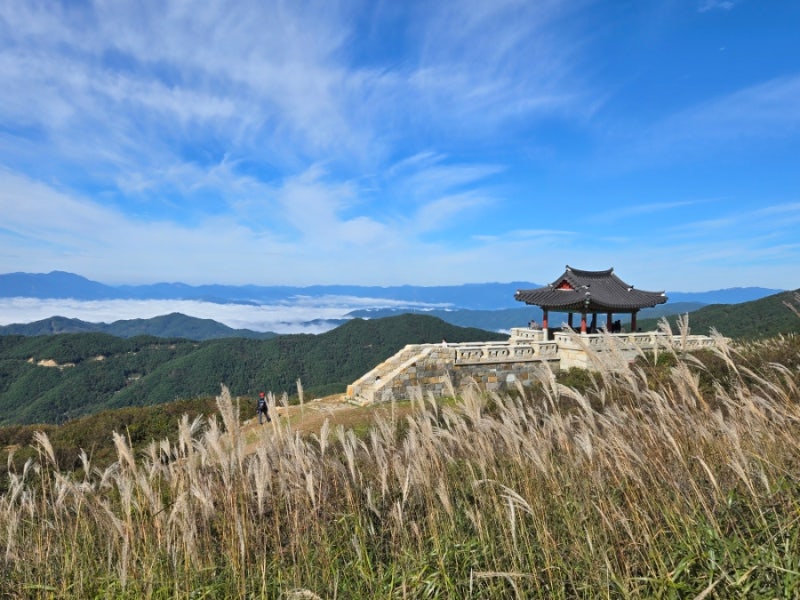 합천 황매산 억새｜하늘계단 따라 걷는 가을 등산코스