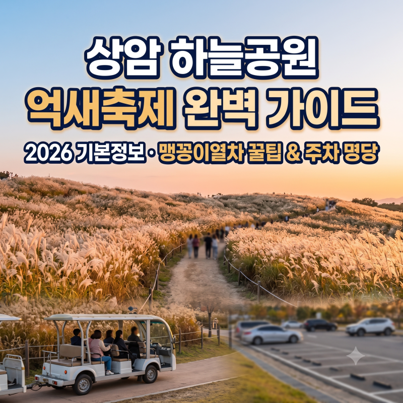 2026 하늘공원 억새축제 기본정보! 맹꽁이열차 요금·주차 꿀팁·일몰 코스 총정리