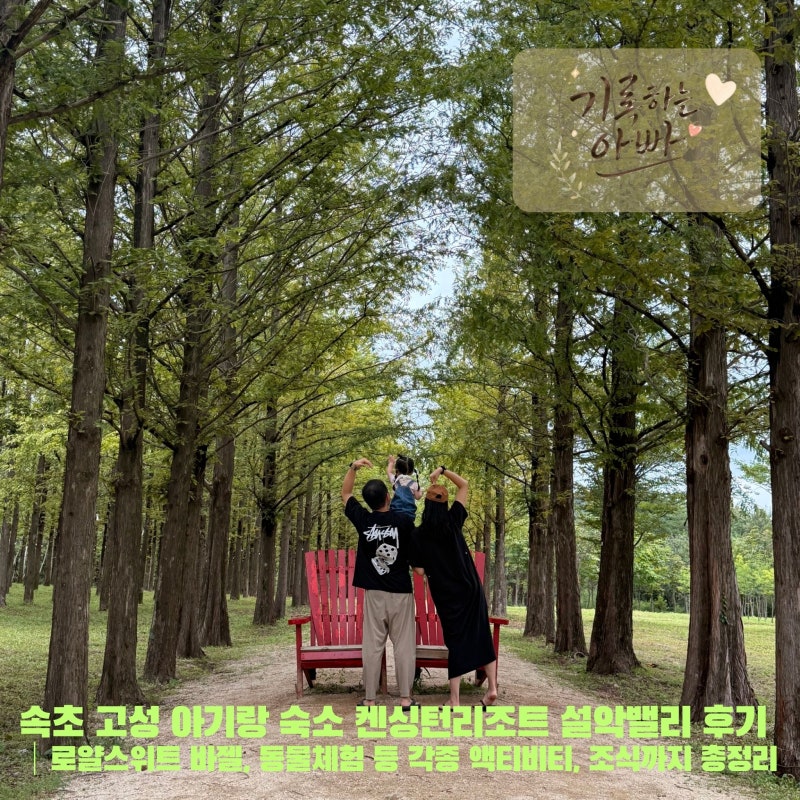 속초 고성 아기랑 숙소 추천 켄싱턴리조트 설악밸리 후기 ｜로얄스위트 바젤, 동물체험 등 ....