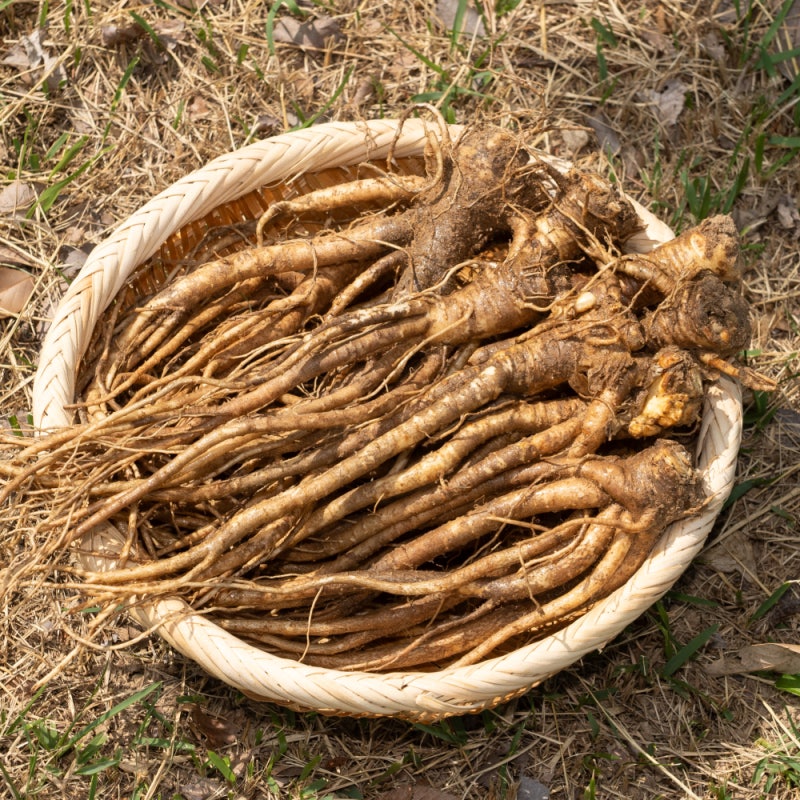 국산 흙 도라지 1kg 직접 써본 솔직 후기