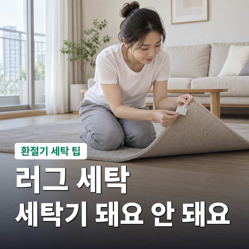 러그 세탁 세탁기에 넣어도 되는 러그와 안 되는 러그 구분법, 집에서 카펫 세탁하는 순서